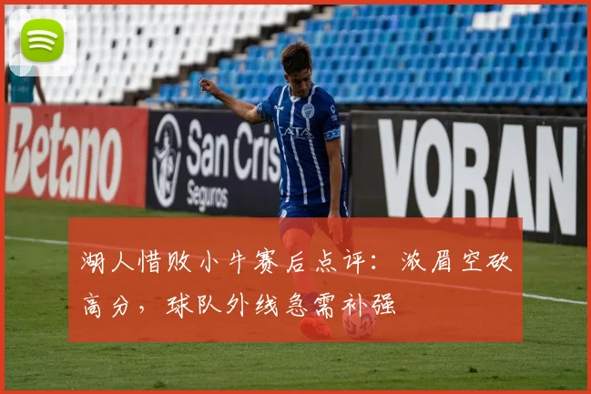 湖人惜败小牛赛后点评：浓眉空砍高分，球队外线急需补强