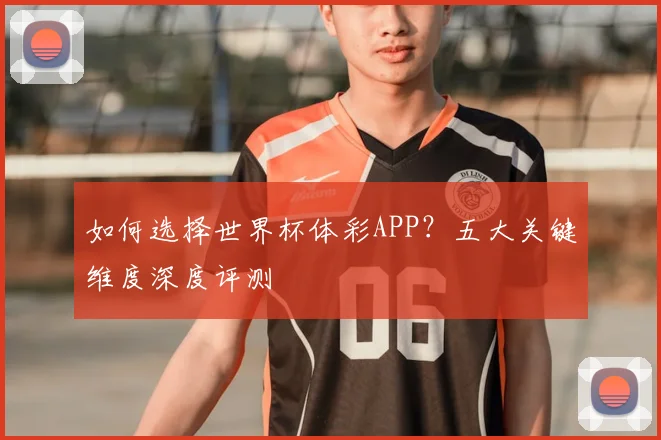 如何选择世界杯体彩APP？五大关键维度深度评测