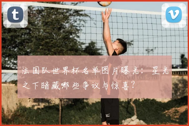 法国队世界杯名单图片曝光：星光之下暗藏哪些争议与惊喜？