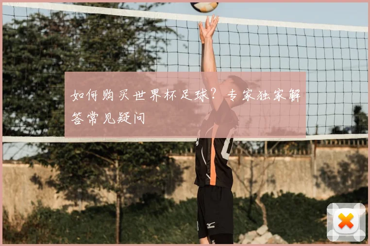 如何购买世界杯足球？专家独家解答常见疑问