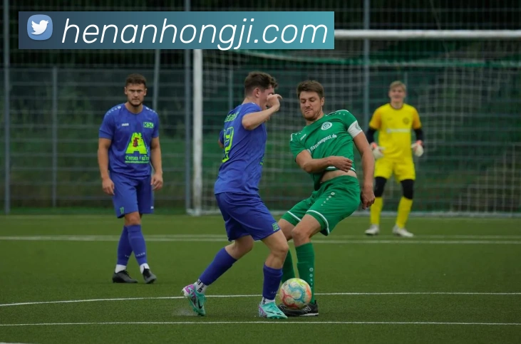 华体在线登录官网APP 封面图